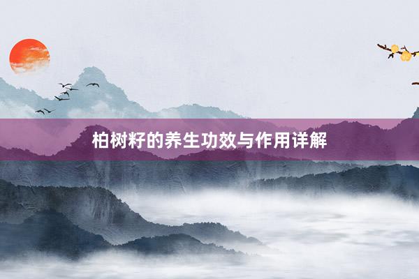 柏树籽的养生功效与作用详解